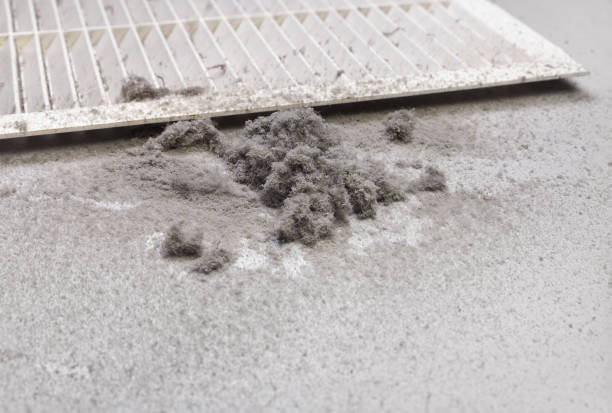 Best Commercial HVAC Duct Cleaning  in Minerva Park, OH