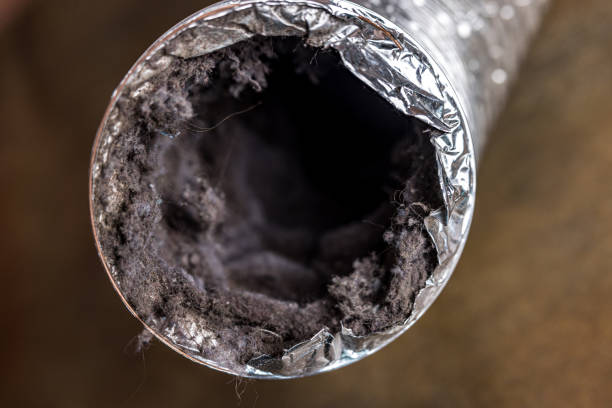 Best HVAC System Cleaning  in Minerva Park, OH