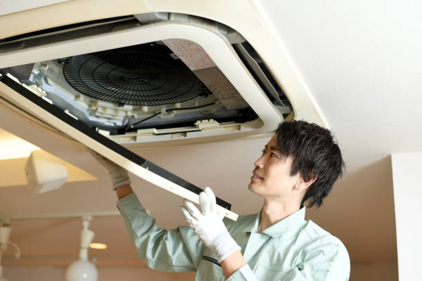 Best Air Duct Cleaning Near Me  in Minerva Park, OH