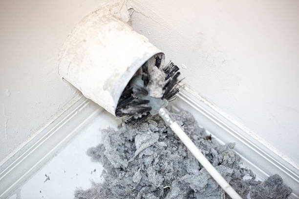 Best Professional Duct Cleaning Services  in Minerva Park, OH