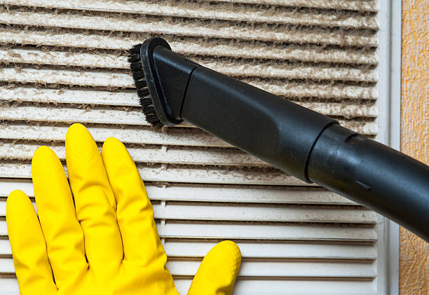 Best Home Air Vent Cleaning  in Minerva Park, OH
