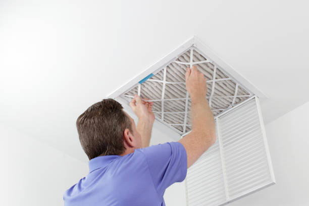 Best Dryer Vent Cleaning Services  in Minerva Park, OH